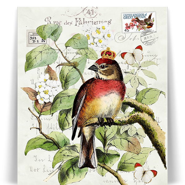 König der Lüfte König der Lüfte